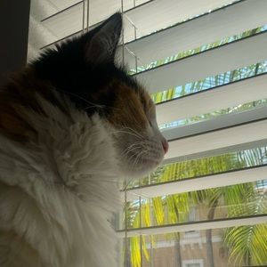 Meet your Posher, Camila